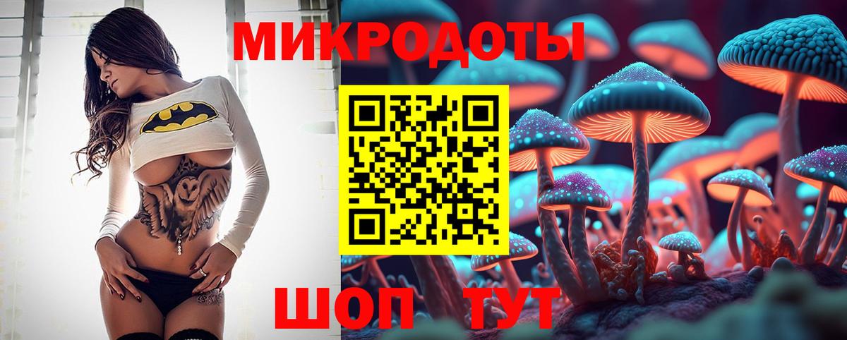 Псилоцибиновые грибы мицелий  Вход с VPN  Псилоцибиновые грибы Psilocybe  Калач-на-Дону 